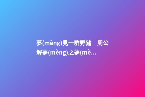 夢(mèng)見一群野豬　周公解夢(mèng)之夢(mèng)到一群野豬